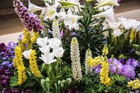 Fresh flowers at wholesale prices arrangements, bouquets and delivery shed 3b hyland street (showgrounds) warrnambool vic 3280 03 5561 3947 thefreshflowermarketwarrnambool.com.au. Floral Lewis Fresh Market