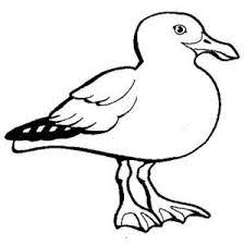 It is nearly 2 feet 05 m in length. Seagull Sleeping Coloring Page Kids Play Color Coloring Pages Coloring Pictures Color