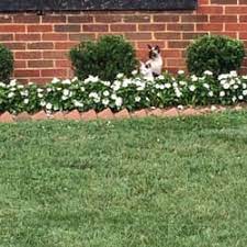 To learn more about privia medical group and find other privia doctors, please visit our website. Alumni Lawn Care Landscaping Roanoke Va Phone Number
