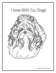 Cartoon dog breed coloring book. Miracle Shih Tzu Kids Corner