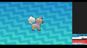 Maybe you would like to learn more about one of these? Own Tempo Rockruff Qr Code 07 2021