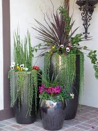 40 Creative And Fresh Office Plant Decoration Ideas Potted Plants Outdoor Plant Decor Plants