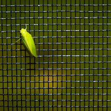 Cost of shower screen installation. Bug Protection Insect Screen Mosquito Fly Resistant Phifer