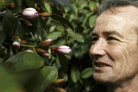 Away with the fairies