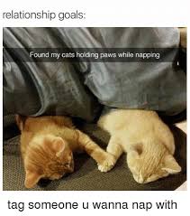 Download Meme Relationship Goals Png Gif Base Check out the best relationship goals memes.