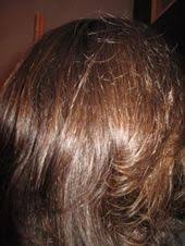 Masquer Les Cheveux Blancs Sur Chevelure Chatain Avec Le Henne Blog Centifolia Cosmetiques Bio Teinture Cheveux Naturelle Cheveux Blancs Henne Cheveux Blancs