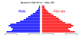 demographics of south africa wikipedia