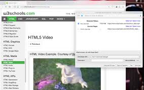 Downloading flash movies with firefox requires you to install a very s. Easy Video Downloader Flash And Video Get This Extension For Firefox En Us