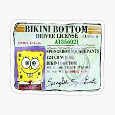 Spongebob begins crying copiously and explains that the card was a very rare one and now it's destroyed. Spongebob Squarepants Drivers License Gifts Merchandise Redbubble