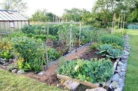 To start with you'll need to find a sunny spot to locate your garden bed. Start Out No Dig Charles Dowding