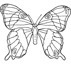 More fun coloring activities too! Beautiful Butterfly Coloring Page Coloring Home