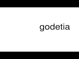 Godetia Flower Pronunciation Best Flower Wallpaper