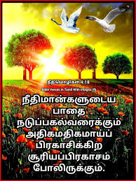 Pin On Bible Verses In Tamil