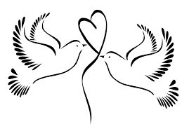 Zeichnungsillustration, gemalte federengelsflügel, illustration von flügeln, engel, engelsflügel, kunst png. Tauben Schwarz Weiss Hochzeit Kostenloses Bild Auf Pixabay