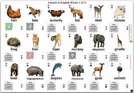 Pin By Joni Alex On Animals Animal Posters Bilingual Book Poster