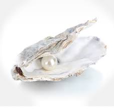 Pearl explained in the jewellery encyclopedia
