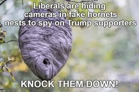After witnessing her father's death at the hands of a maniacal crime boss, young perish vows to avenge his death. Liberals Are Hiding Cameras In Fake Hornets Nests To Spy On Trump Supporters 0 Knock Them Down Fake Meme On Me Me