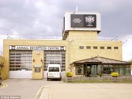 570 north circular road city: Exploring The Heathrow Animal Reception Centre Petrelocation