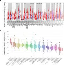 Oncologists at the university of pittsburgh medical center have confirmed the … Frontiers Comprehensive Transcriptomic Analysis Reveals The Role Of The Immune Checkpoint Hla G Molecule In Cancers Immunology