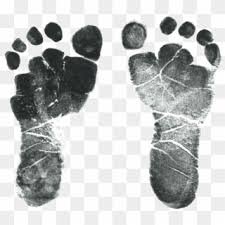 Download Baby Png Png Transparent For Free Download Page 10 Pngfind