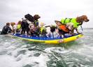 San diego surf dog competition