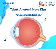 Maybe you would like to learn more about one of these? Jangan Anggap Sepele Gangguan Pada Kornea Mata
