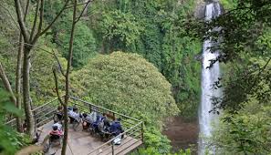Kawasan perkemahan di ciwidey ini memang diminati oleh banyak wisatawan maupun penyelenggara camp pelatihan. 7 Obyek Wisata Alam Di Bandung Barat Yang Menarik Disinggahi Travel Tempo Co
