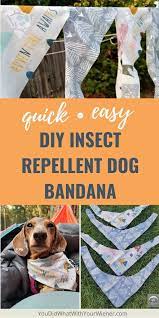 Pin On Pet Diys