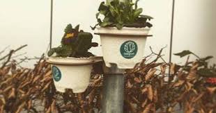Heimgrun Your City Minitopia Gartenbau Pflanzen Balkonkasten