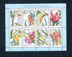 Image result for Satyrium orbiculare