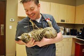 189 brook forest ave, shorewood, il 60404 phone: Animal Care Center Of Shorewood Kremer Veterinary Services