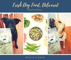 Best human grade dog food? Fresh Dog Food Delivered Is It Too Good To Be True The Timid Rider