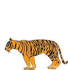 If you would like to. Tiger Clipart 14g Clipartix