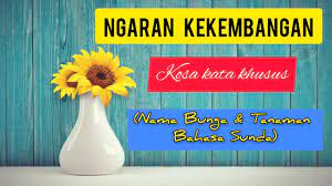 Ngaran kekembangan kembang awi : Ngaran Kekembangan Nama Bunga Tanaman Bahasa Sunda Youtube