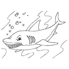 Stats on this coloring page. Top 20 Shark Coloring Pages For Your Little Ones