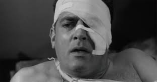 This movie made me a godzilla fan and it still holds up for the most part. How Raymond Burr Ended Up Battling Godzilla