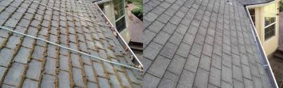 Moss will loosen over time and may be removed with a leaf blower. Roof Moss Removal Company Ri Roof Cleaning Service Providence Ri