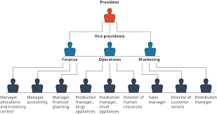 Building Organizational Structures Openstax Intro To Business