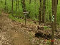 National Trails Day Walk