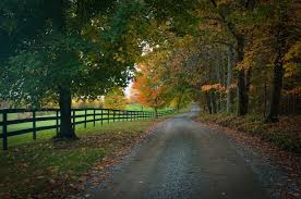 Timeline Photos Experience Charlottesville Virginia Is For Lovers Country Roads Take Me Home Scenic Routes
