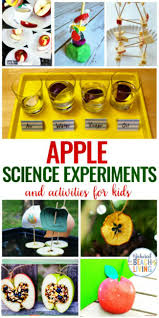 September 17, 2013 by sheryl cooper. 25 Leaf Science Experiments Activities And Sensory Ideas Natural Beach Living