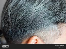20 photos of younger women with grey hair that are super gorgeous the days of cringing at the sight of grey hair are passé. Going Gray Young Man Image Photo Free Trial Bigstock