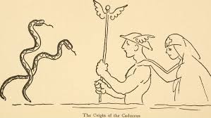 The primrose case files ch. Nursing Symbols Best Definitions Of 7 Different Symbols