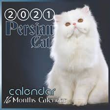 Pagesothercommunitydeccan cat club.videosthe original long hair persian cats history and there structural changes. Buy Persian Cat Persian Cat Longhair 8 5x8 5 Inch Wall 2021 Calendar Book Online At Low Prices In India Persian Cat Persian Cat Longhair 8 5x8 5 Inch Wall 2021 Calendar Reviews Ratings Amazon In