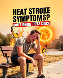 Heat stroke is not just about feeling hot—it can silently become  life-threatening. ⚠️, From high body temperature to confusion and organ  failure, recognizing the symptoms early can save lives., Stay ...