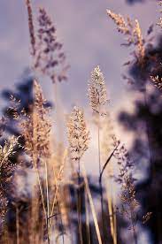 Beautiful September Colors Themebeautiful Colors September Theme Nature Wallpaper September Wallpaper Nature Photography