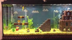 Betta's are remarkable fish and they deserve the vertical design lets your betta experience more of the tank as decor and plants take up a lot less room. Cool Betta Fish Tank Ideas 19 Beautiful Designs To Inspire You