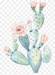 See more ideas about watercolor cactus, cactus art, cactus. Cactus Watercolor Png Images Pngwing