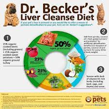 Healthy Liver Diet For Dogs Online