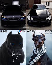 Click On The Picture For More M5 Or E55amg Comment Follow Bmwtrend Bmwtrend Bmwtrend Bmwtrend Bmwtr Bmw Concept Sports Cars Luxury Bmw Cars